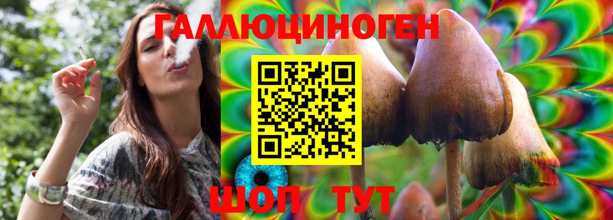 Галлюциногенные грибы Magic Shrooms  Галлюциногенные грибы мухоморы  Зеленогорск  даркнет сайт  Вход с VPN 